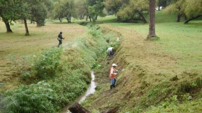 Parque Guillermina: la Municipalidad retir� 200.000 kilos de basura