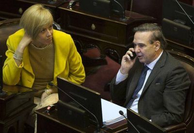 Senadora abandon� el bloque de Pichetto y se fue con CFK
