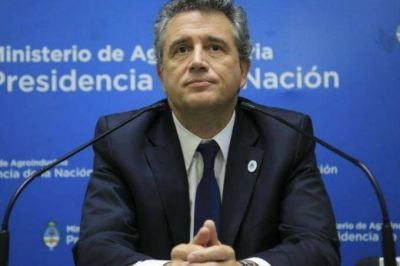 Recorte en el Estado: el Ministerio de Agroindustria despedir� a m�s de 300 empleados