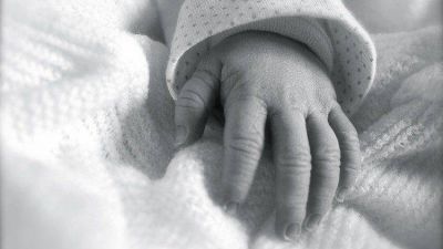 Tweet del Papa: La plenitud de la vida entregada como Don