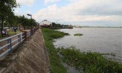 R�o Paraguay: un espejo de agua cubierto de camalotes y la basura