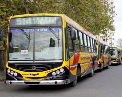 Por ley, la compa�ia de transporte de Necochea deber� instalar c�maras en los micros