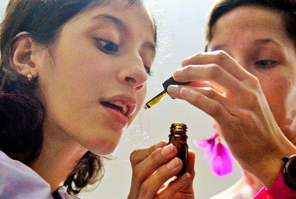 Cannabis medicinal: avanza un estudio en el Garrahan y analizan un predio para cultivar