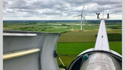 Inversiones y empleo: cu�les son los planes en ejecuci�n de empresas de energ�a e�lica