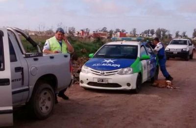 El Municipio infraccion� a personas por arrojar basura en la calle