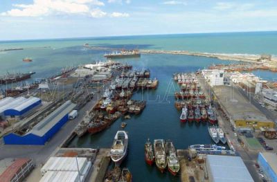 Harineras comienzan a reducir el impacto ambiental