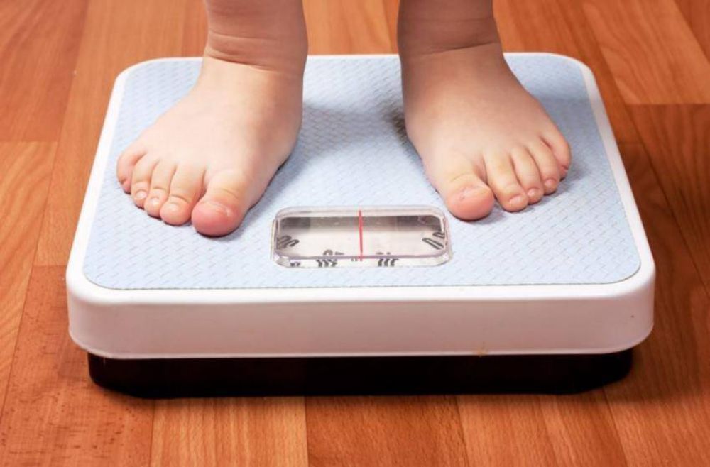 Advierten que casi la mitad de los nios tienen sobrepeso y obesidad