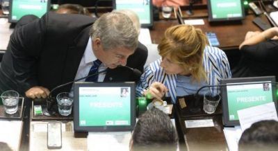 D'Onofrio se baj� del Consejo de Seguridad: 