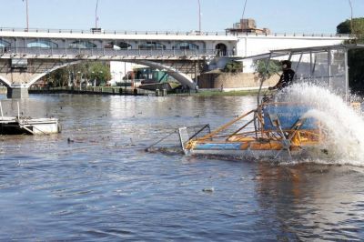 Carlos Paz: Se llenaron cinco camiones con la basura que sacaron del San Roque