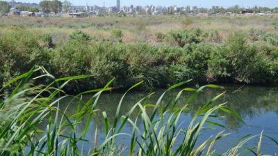 En seis a�os pidieron diez amparos por la contaminaci�n de los r�os