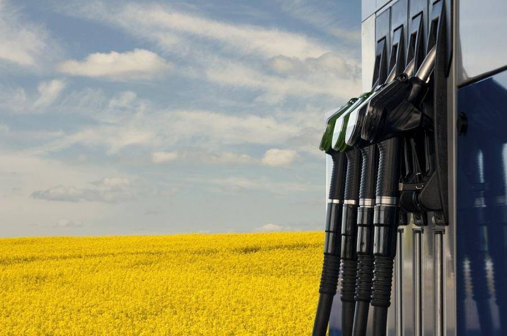 Publicado el Real Decreto que regula el Sistema Nacional de Verificaci�n de la Sostenibilidad de biocarburantes y biol�quidos