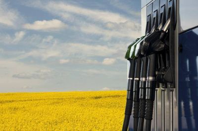 Publicado el Real Decreto que regula el Sistema Nacional de Verificaci�n de la Sostenibilidad de biocarburantes y biol�quidos