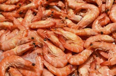 Naci�n impulsar� medidas para traer langostino por tierra a la ciudad