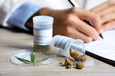Conflicto por una ONG que trabaja para fabricar cannabis medicinal