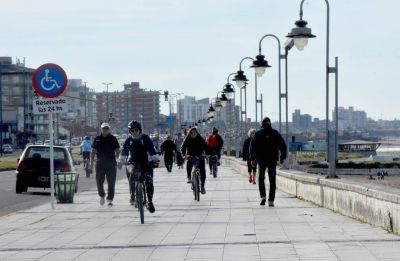 El municipio admite que la poda de la obra p�blica impacta en la ciudad