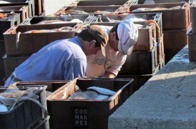 �Traer el langostino por tierra podr�a reactivar nuestro Puerto�