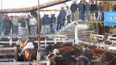 Destino ca�uelense para el Mercado de Hacienda