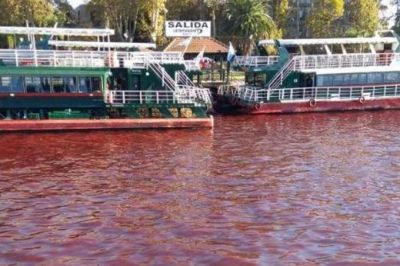 El r�o de sangre: en Tigre, el r�o amaneci� rojo y apuntan contra posibles �vuelcos clandestinos�