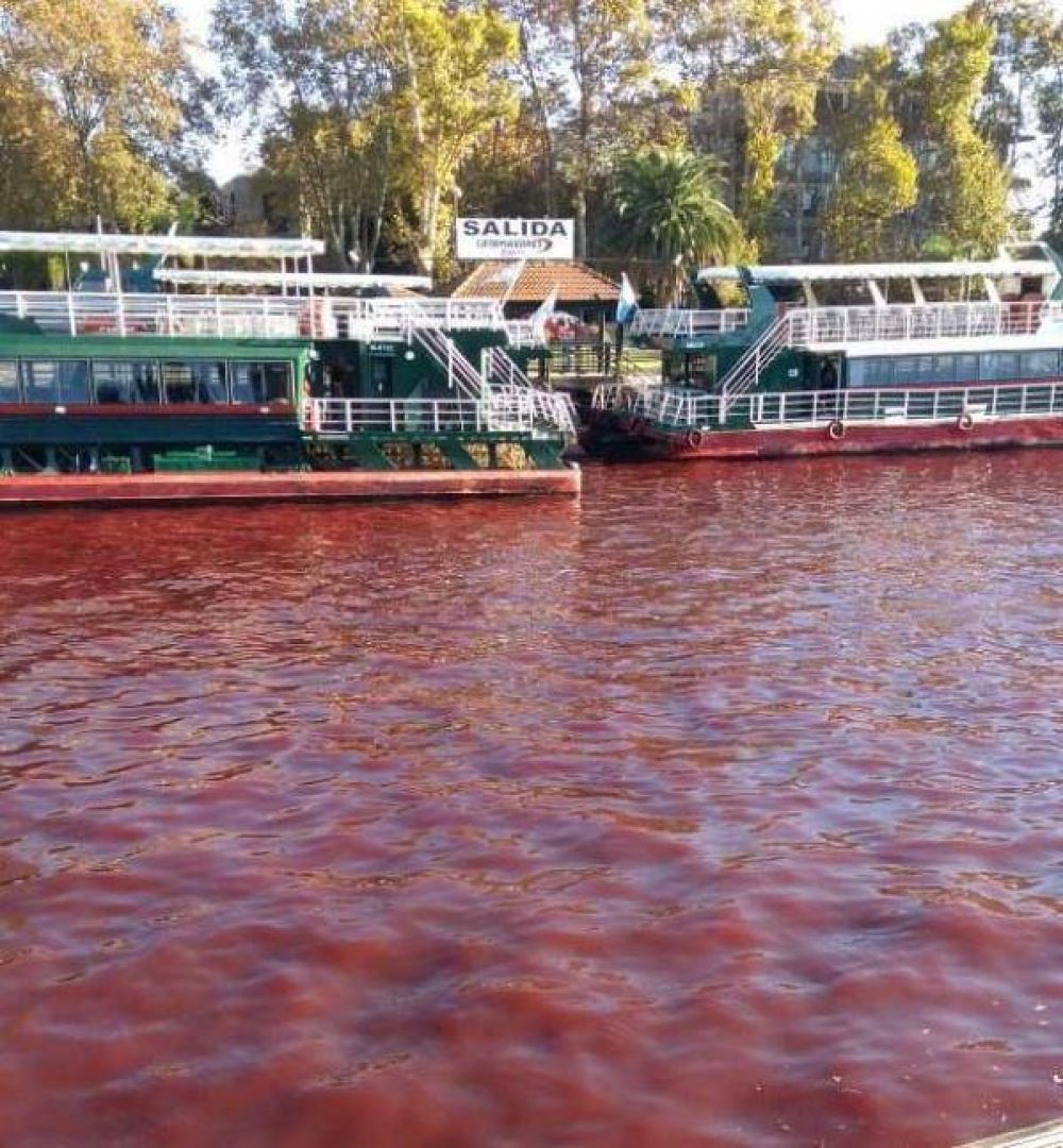 Porqu el agua se puso roja en Tigre: se espera por la respuesta de Provincia