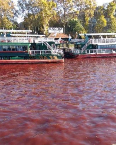 Porqu� el agua se puso roja en Tigre: se espera por la respuesta de Provincia