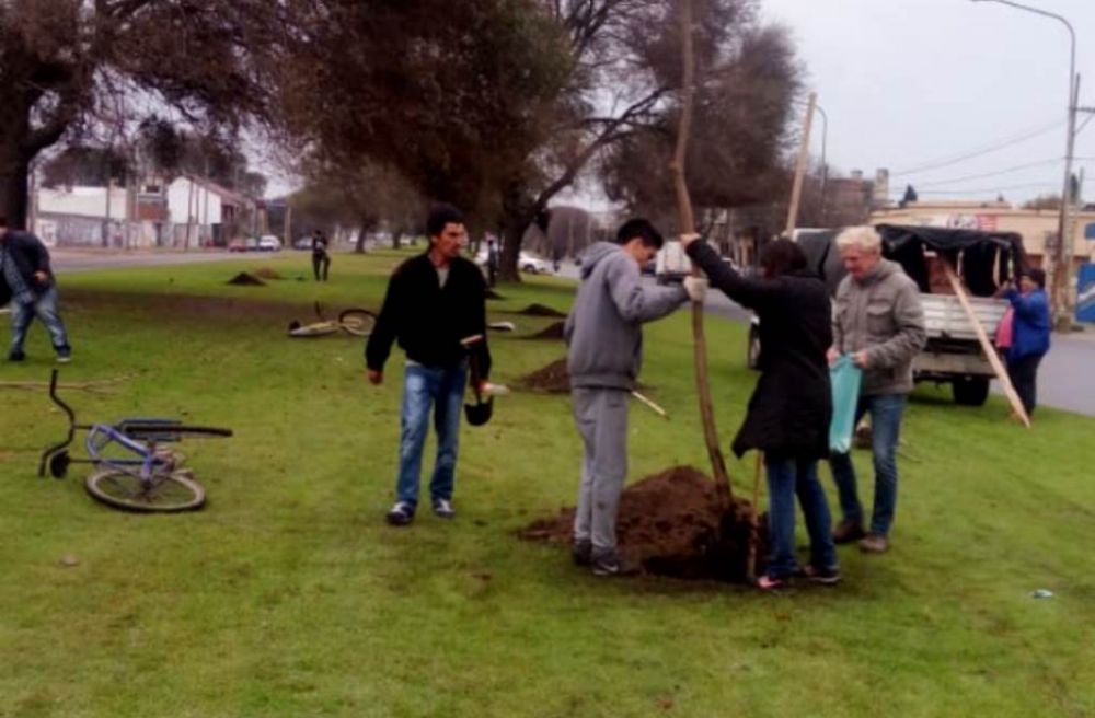 Plantan �rboles en la Avenida 59 para recuperar espacios verdes