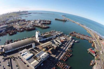 Crisis en el puerto: para Nación es por el aumento de la fiscalización y no por el precio del langostino