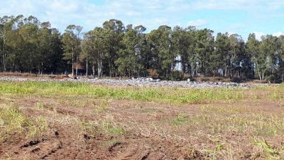100 toneladas de residuos recibe diariamente el Relleno Sanitario
