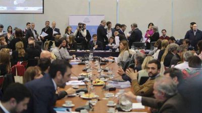 Aborto: se firm� el dictamen de mayor�a para la Interrupci�n Voluntaria del Embarazo