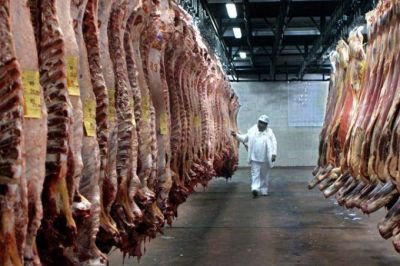 En mayo, la faena bovina en Argentina lleg� a las 5,48 millones de cabezas