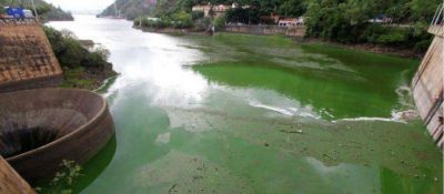 Proponen la creaci�n de un Fondo Municipal para el saneamiento del lago San Roque