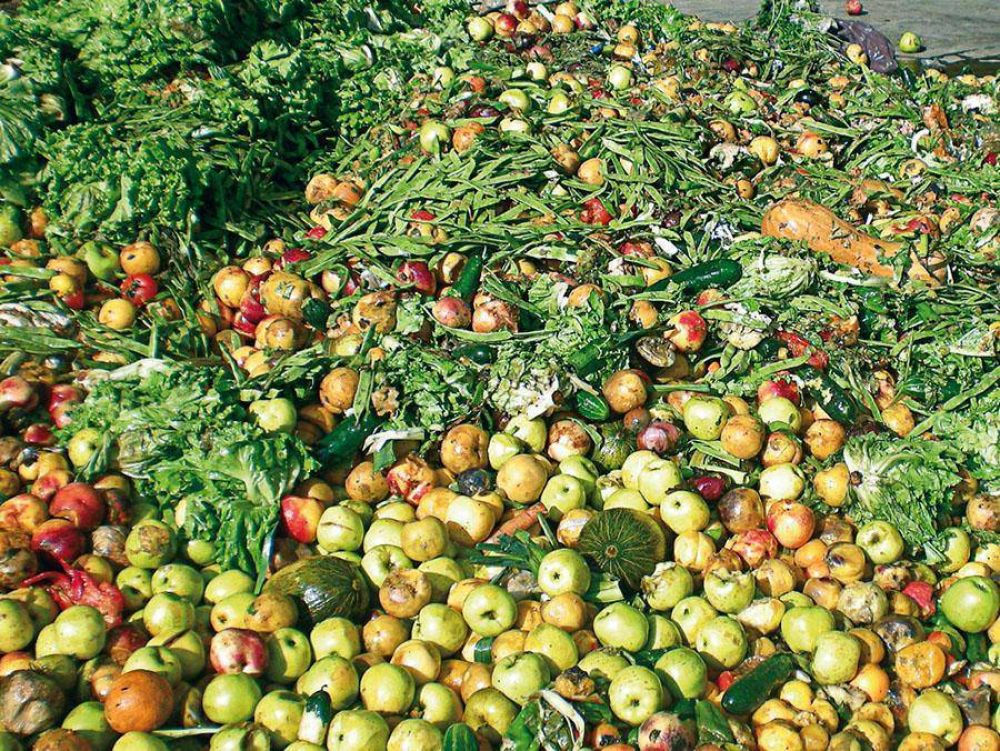 Gipuzkoa desperdicia 123.000 toneladas de alimentos al ao