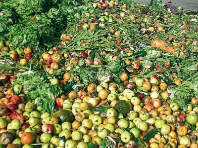 Gipuzkoa desperdicia 123.000 toneladas de alimentos al a�o