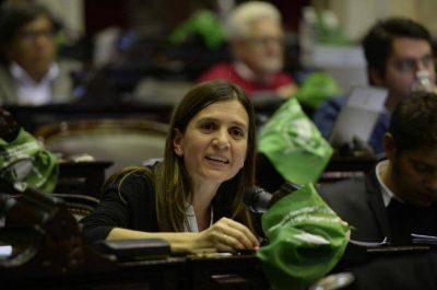 Aborto legal: lo que dijeron en el recinto los diputados marplatenses