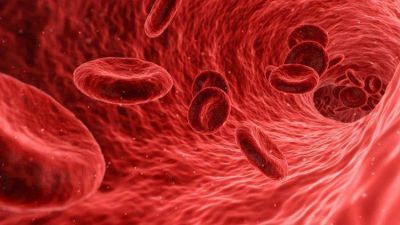 Jornada Mundial del Donador de Sangre: todos podemos salvar vidas