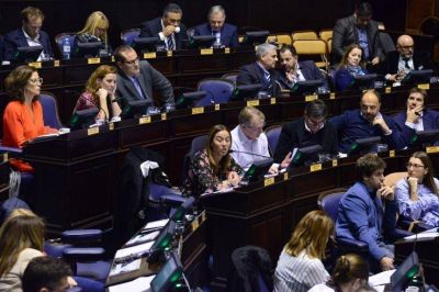 Desde el massismo corren a Vidal para que se pronuncie en torno al aborto