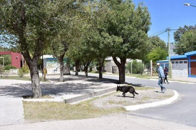 San Jos� del Morro ya tiene red cloacal: beneficiar� a 150 vecinos