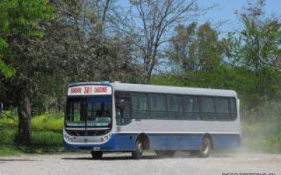 Chascom�s: La l�nea Chascobus cambiar� de recorrido cuando regresa de Ranchos