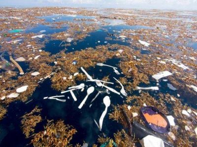 Un estudio advierte que una ola gigante de basura pl�stica podr�a inundar EEUU
