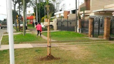 Paran� se suma al programa provincial 
