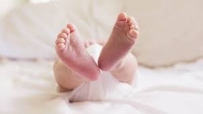 Aborto: el Estado no puede apartarse del bien com�n p�blico