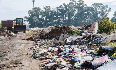 Levantaron 210 toneladas de basura y desmalezaron banquinas en la avenida 10 de Febrero