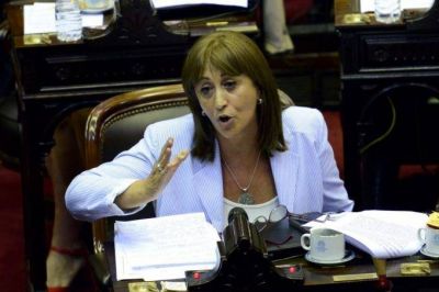 Tundis dijo que la reforma del IPS �es inviable� y advirti� sobre el desfinanciamiento del ANSES