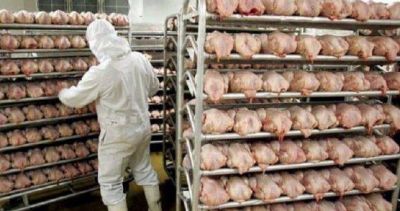 M�s destrucci�n de empleos: 20 despidos en la av�cola ServiAves