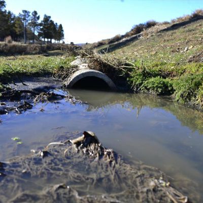 Contaminaci�n: Pilcaniyeu tira l�quidos cloacales sin tratar al campo