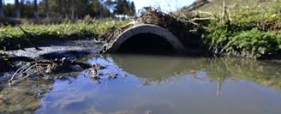 Nueva planta y deuda en d�lares �Una soluci�n?