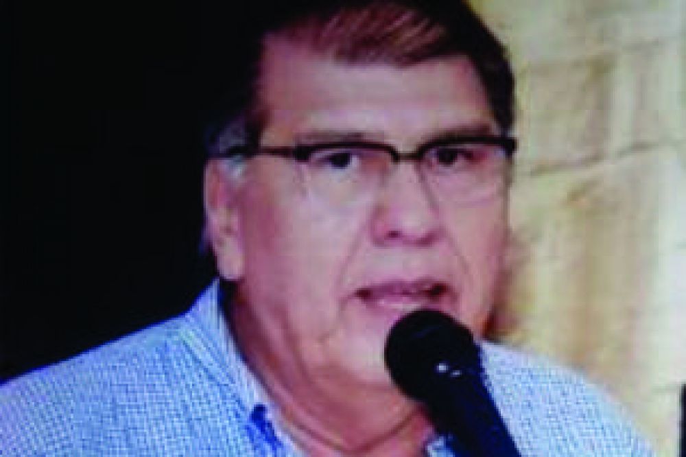 En el Colegio P�blico de Ingenieros capacitan en construcciones de madera