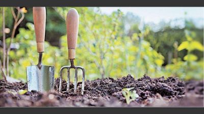El futuro alimentario en la agenda de sustentabilidad