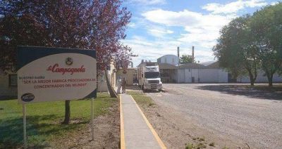 La Campagnola eval�a cerrar su planta en Choele Choel