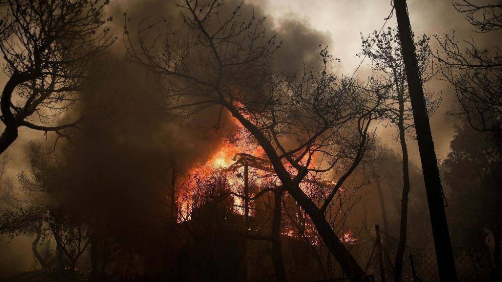 El dolor del Papa por las vctimas de los incendios en Grecia: una tragedia