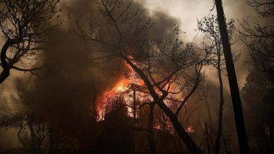 El dolor del Papa por las v�ctimas de los incendios en Grecia: �una tragedia�